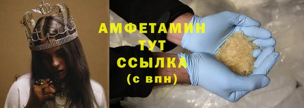 мяу мяу мука Иннополис