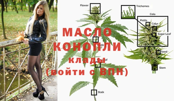 стаф Инсар