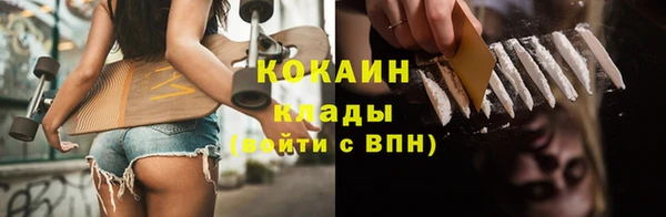 прущие крисы Инта