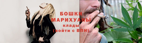 стаф Инсар