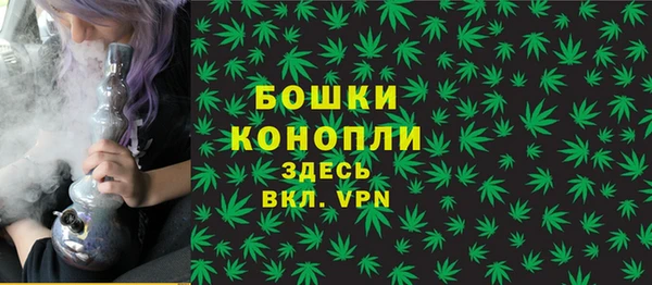 стаф Инсар