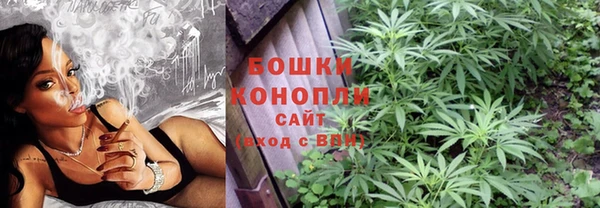 мяу мяу мука Иннополис