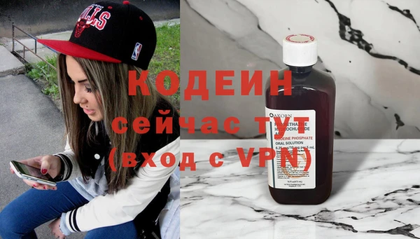 стаф Инсар