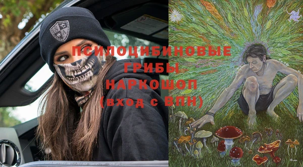 прущие крисы Инта
