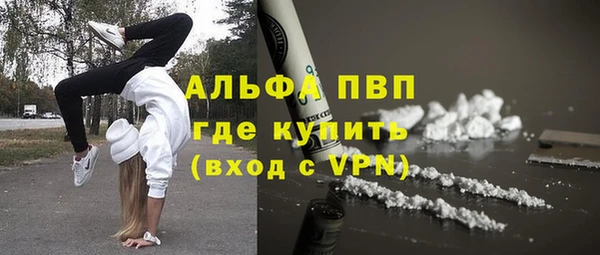 стаф Инсар