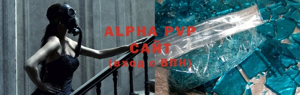 стаф Инсар