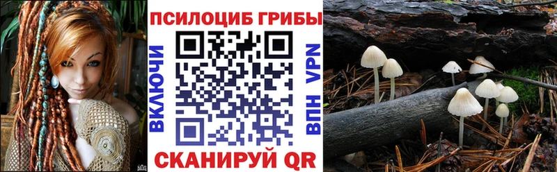 ссылка на мегу зеркало  Новый Уренгой  Псилоцибиновые грибы ЛСД 