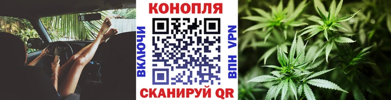 Шишки марихуана MAZAR  где можно купить   Новый Уренгой 